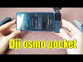 Dji Оsmo Pocket активация и обновление камеры