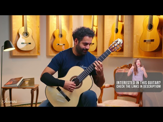 Siccas Luthiers Recital Traditional Spruce 63 cm Classical Guitar Review