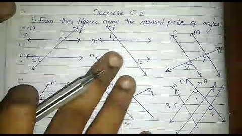 Exercise 5.2/ 1. From the figure name the marked pair of angles.
