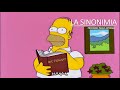 Quiz sobre Sinonimia