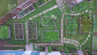 Garden June 11