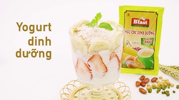 YOGURT DINH DƯỠNG | Sữa hạt ngũ cốc B