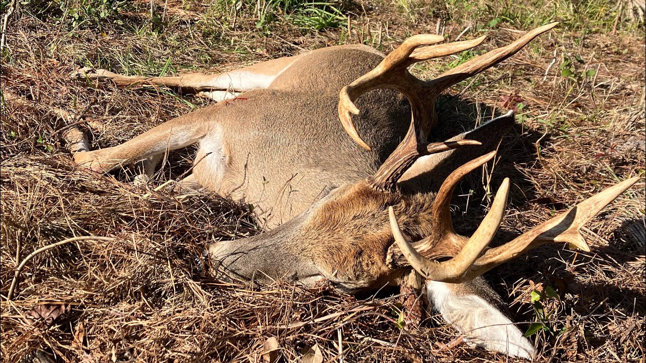 Florida archery 11 point 1/21/24 YouTube
