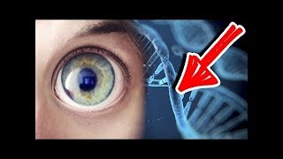 ИВАНГАЙ - МОЕ ДНК ПРОИСХОЖДЕНИЕ ! КТО Я НОВОЕ ВИДЕО КАНАЛ ИВАНГАЯ ИВАНГАЙ - МОЕ ДНК ПРОИСХОЖДЕНИЕ ! КТО Я НОВОЕ ВИДЕО КАНАЛ ИВАНГАЯ