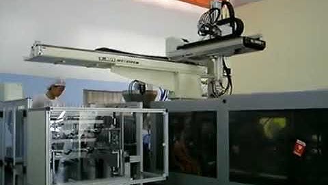 Gantry Robot Pick and Place Automation