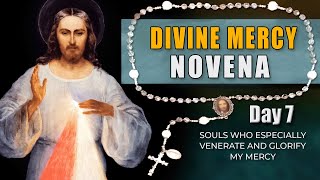 Divine Mercy Novena & Chaplet - Day 7
