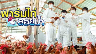 🥚ทำไมฟาร์มไข่ไก่ถึงไปอยู่บนน้ำ สุพรรณบุรี By ฉั่วฮะเส็ง