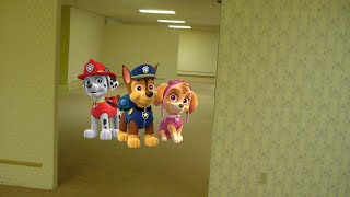 I found PAW Patrol in the BACKROOMS?!! (REAL) (GONE WRONG) (24 HOURS)