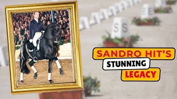 Hoe veranderde Sandro de dressuurfokkerij?