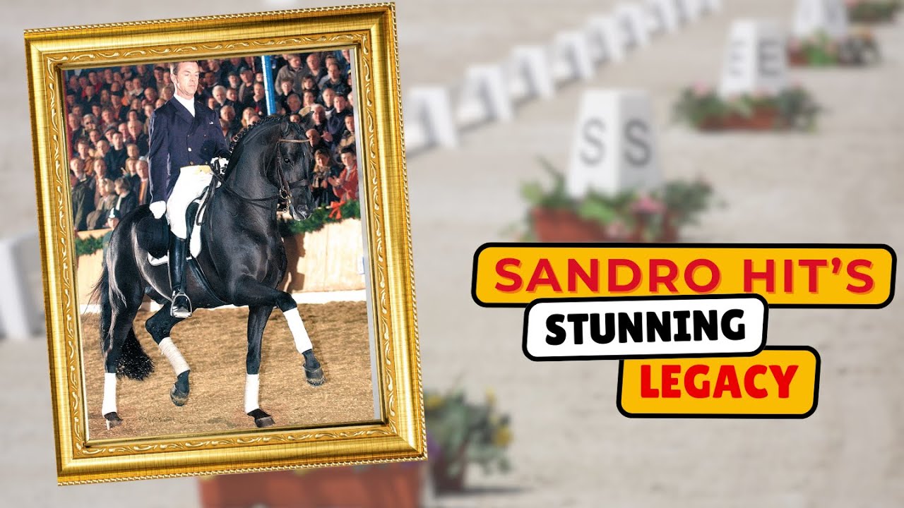 Как Сандро изменил разведение выездковых лошадей?