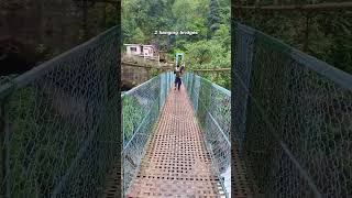 Trek to Living root Bridge😍  #meghalaya  #shortsfeed #cherapunji #brothers #shorts #trekking #viral