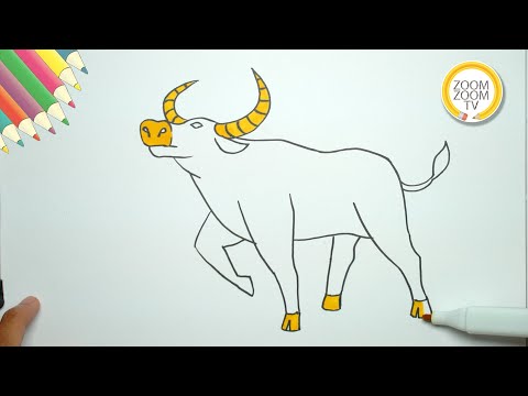 Hình Con Trâu Vàng - Hướng dẫn cách vẽ con TRÂU VÀNG - How to draw buffalo | Zoom Zoom TV