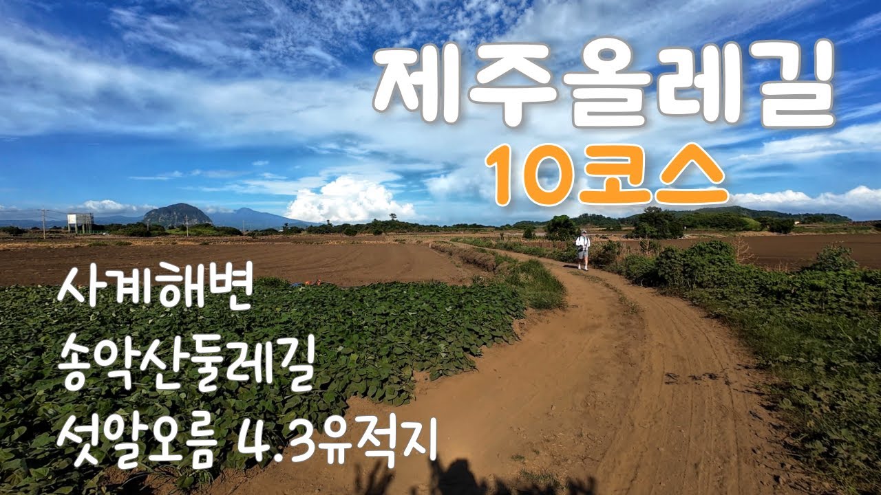 제주 올레길 10코스 | 지금까지 걸은 올레길중 단연코 원탑~~!!👍👍