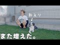 ”また”家族が増えました！