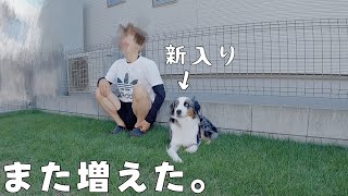 ”また”家族が増えました!