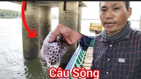 Dưới Chân Trụ Cầu Cao Tốc là 1 Ẩn Số/ Toàn cá Nâu Khủng/ Câu cá Sông