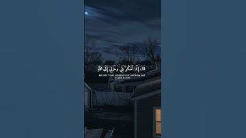استمع للقران الكريم 🎧💙 #قران_كريم #راحة_نفسية