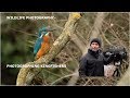 Photographing Kingfishers-  wildlife photography.