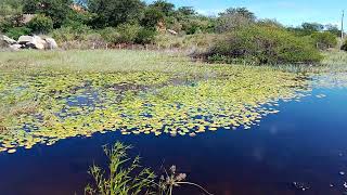 aqui é um dos lugares más lindos da região serra do Teixeiras no sertão paraibano