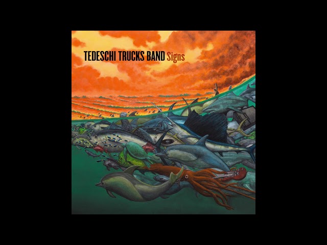 Tedeschi Trucks Band - Hard Case