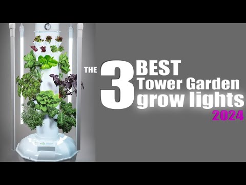 THE BEST TOWER