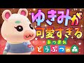 【あつ森】 ゆきみ推し必見！ゆきみがとにかく可愛すぎる！【あつまれどうぶつの森】