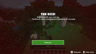 Minecraft What is this kill screen