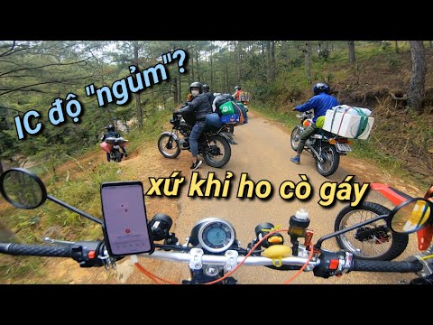 hồ đà lạt New Update Tour Camping Đà Lạt | Dàn lửa C.H.Ế.T giữa đêm khuya... | Keido Adventure
