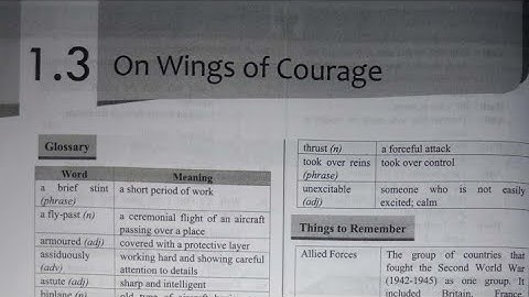 STD 10th ll English ll Chapter 1.3 : On Wings of Courage ll Target ll 2020