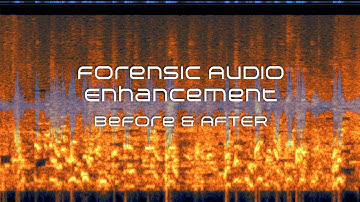 Busy Restaurant - Before and After - Forensic Audio Enhancement