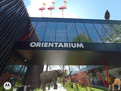 „Odkrywanie cudów Orientarium Zoo w Łodzi” #Zoo #Łódź #Orientarium #OrientariumZoo #familyfun
