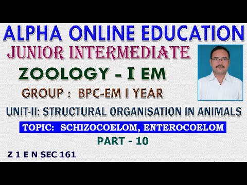 INTER-I YR: ZOOLOGY-I