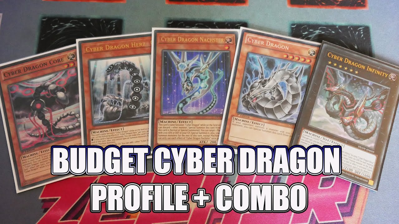 BUDGET Cyber Dragon Profile + Combo BUDGET Cyber Dragon Profile + Combo