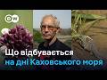 Каховське водосховище як виглядає нині Великий Луг і що з відбудовою ГЕС Каховське водосховище як виглядає нині Великий Луг і що з відбудовою ГЕС