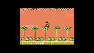 SUPER MARIO ADVANCE 4 - SUPER MARIO BROS. 3 - WORLD 2