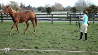 An Adverage Day For Roseah