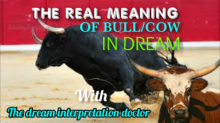 Ý nghĩa giấc mơ: Giải mã tâm linh về con bò