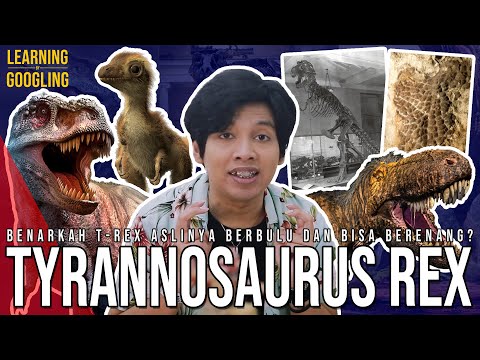Gimana Cara T-Rex Kawin? Apa benar T-Rex Aslinya Berbulu? Tyrannosaurus Rex! | Learning By Googling