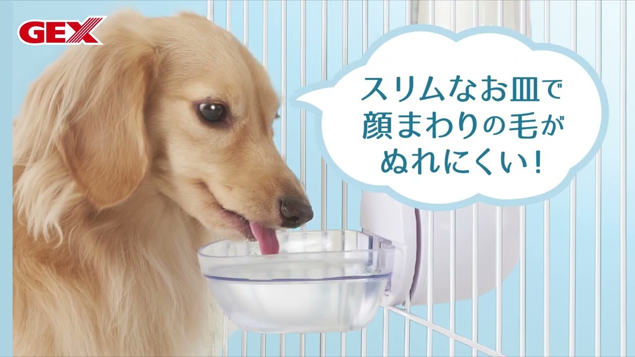 ピュアクリスタル ドリンクディッシュD | ジェックス株式会社