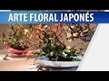 Arte Floral Japones / Cómo se Hace el Ikebana
