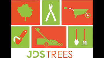 Tree Felling in Edinburgh &  Midlothian by JDS Trees Ltd