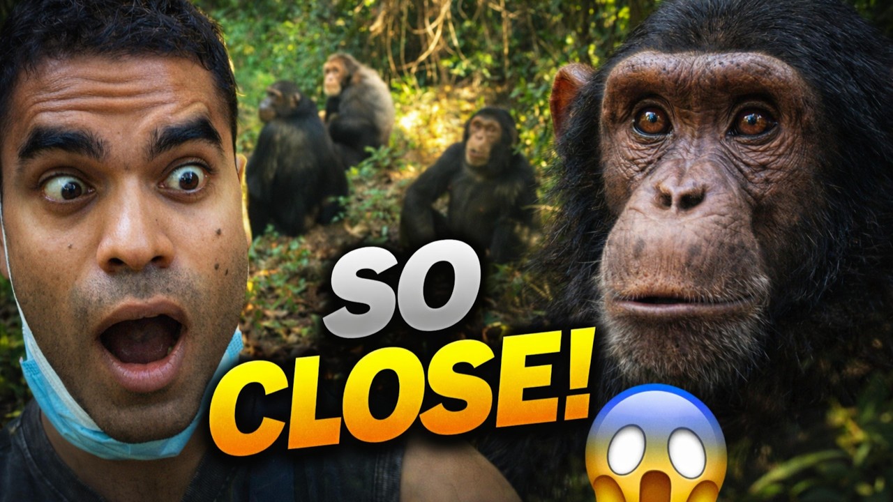 I Spent Days Hunting Chimpanzees in Tanzania