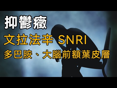 【抑鬱症與化學藥品研發歷史】第十三期：文拉法辛、多巴胺、大腦前額葉皮層