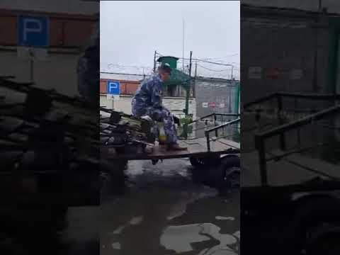 Выдь на Волгу: