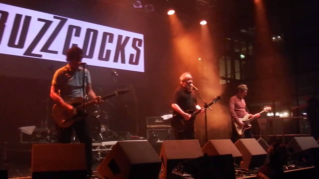 THE BUZZCOCKS - LOVE YOU MORE - Rebellion Festival 2015