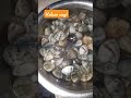 Halaan Soup Seafoods Tinola Inhinyerongkusinero Halaan Soup Seafoods Tinola Inhinyerongkusinero