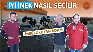 İyi İnek Nasıl Seçilir | İneği Okuyan Adam - Ali ERGEN