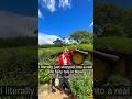POV: You Enter a Fairy Tale in Real Life ✨ #trending
