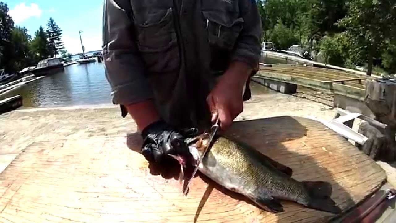 Smith Camps Boneless Bass Cleaning Demonstration