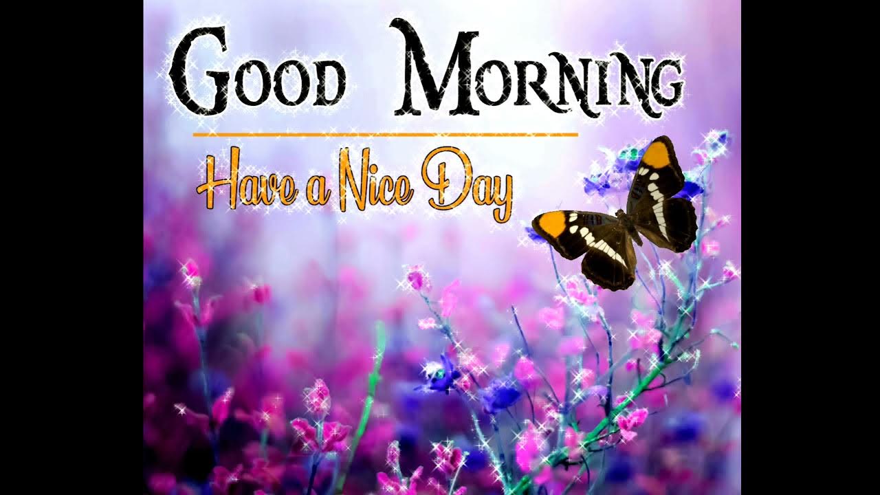 Ава к песне morning. Morning песня. Виолетту малышенко гуд монинг трек. Good morning how are you song for kids. Good morning треки.